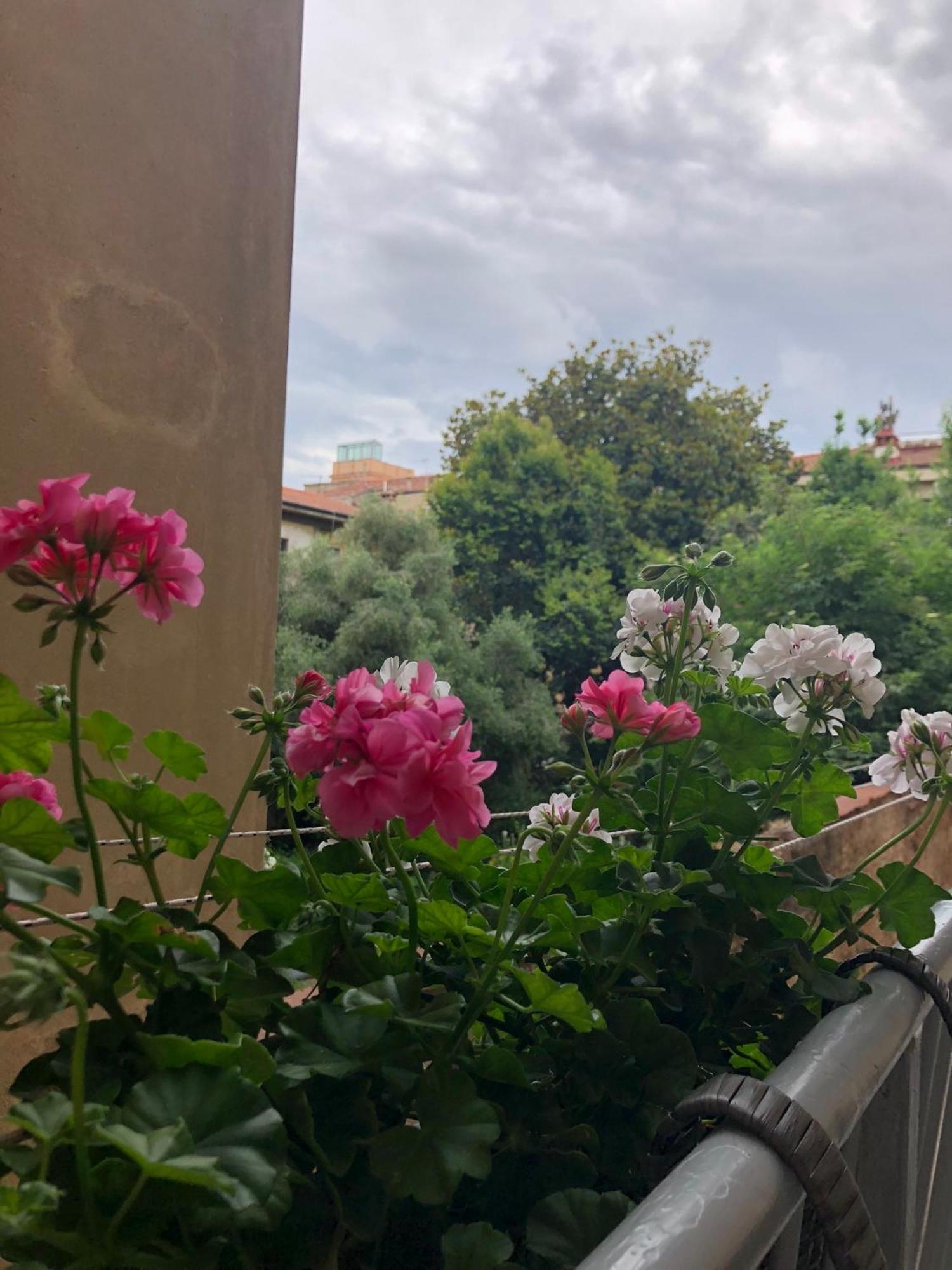 Apartmán Sonnino House Pisa Exteriér fotografie